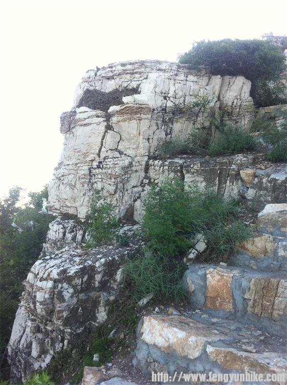 这里小山快到顶了，海拔300多米，还可以到更高的山顶，没时间了，返回了
