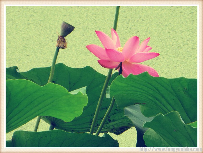 照片 667_副本.jpg