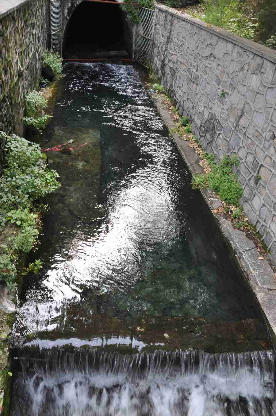 DSC_0107_副本.jpg