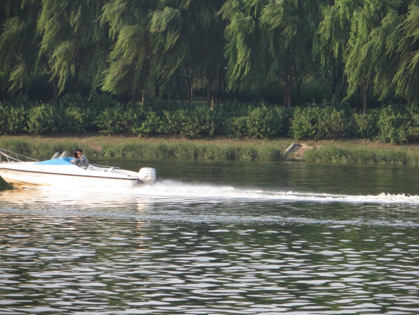 照片 705_conew1.jpg