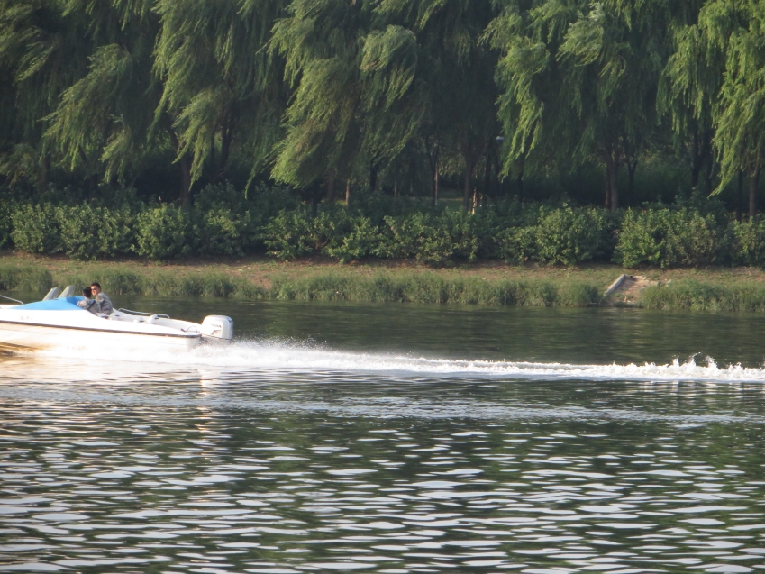 照片 706_conew1.jpg