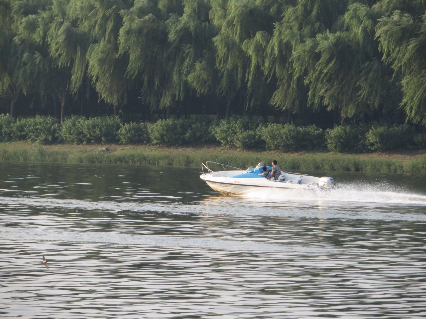 照片 710_conew1.jpg