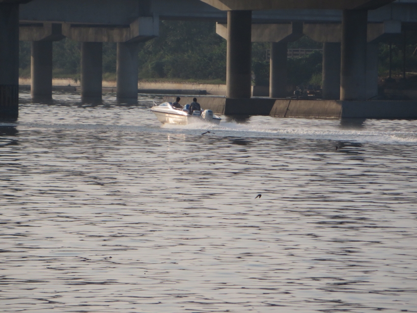 照片 717_conew1.jpg