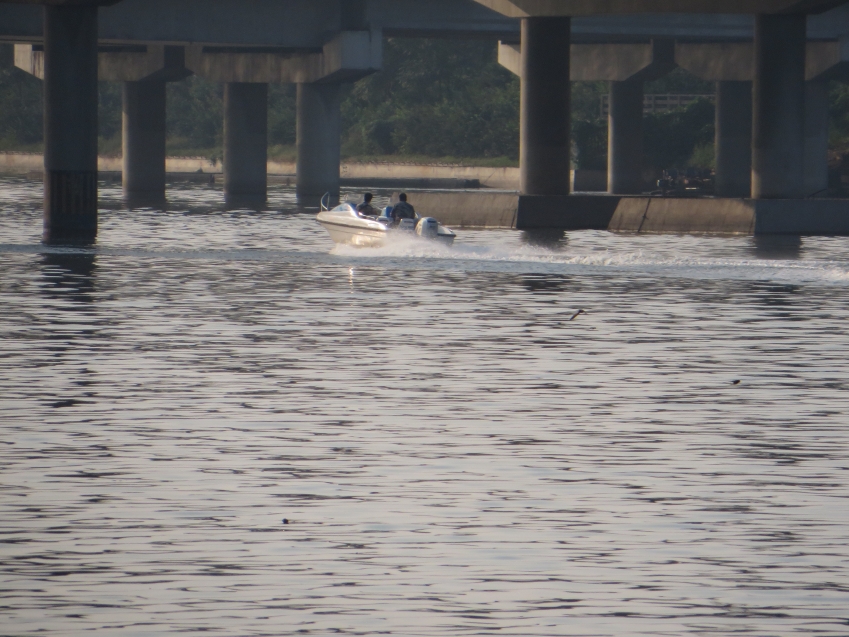 照片 718_conew1.jpg