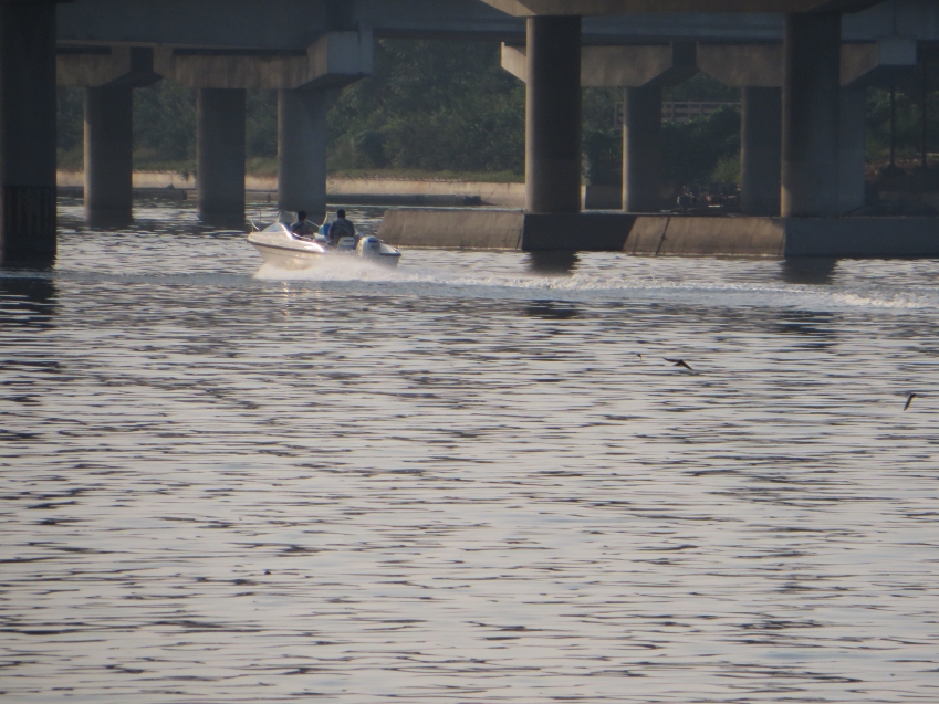 照片 719_conew1.jpg