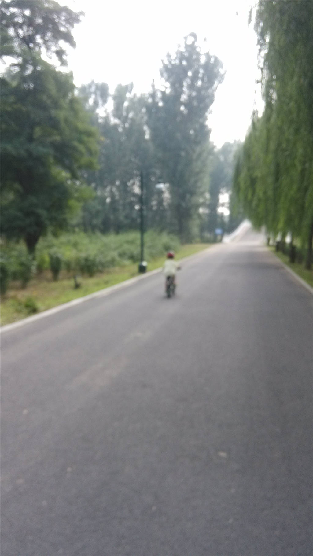 这小娃娃骑的飞快，照了几张都是虚的。