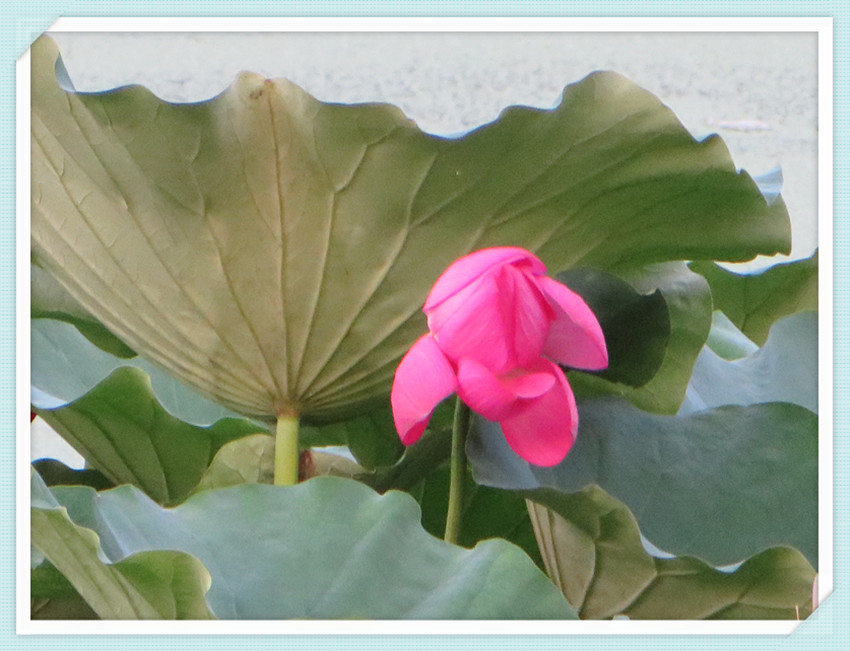 照片 825_副本.jpg