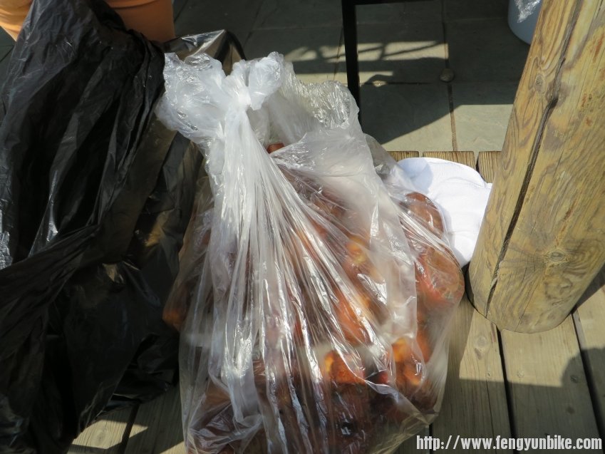 照片 1058_conew1.jpg