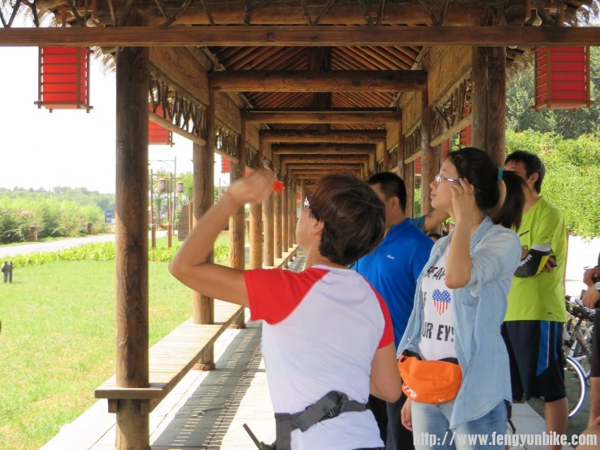 照片 1163_conew1.jpg