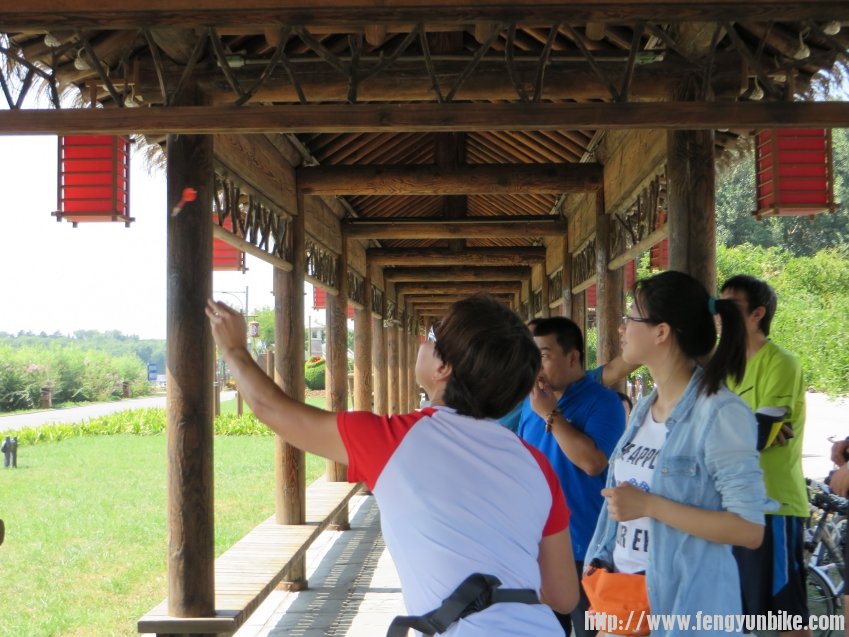 照片 1164_conew1.jpg