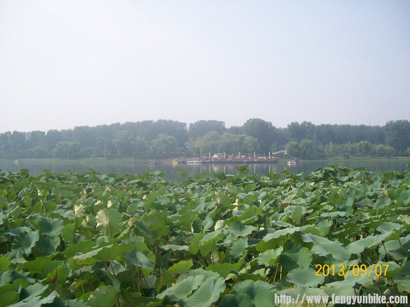 照片 200_副本.jpg