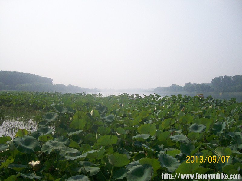 照片 201_副本.jpg