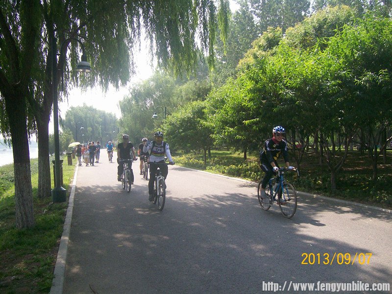 照片 252_副本.jpg