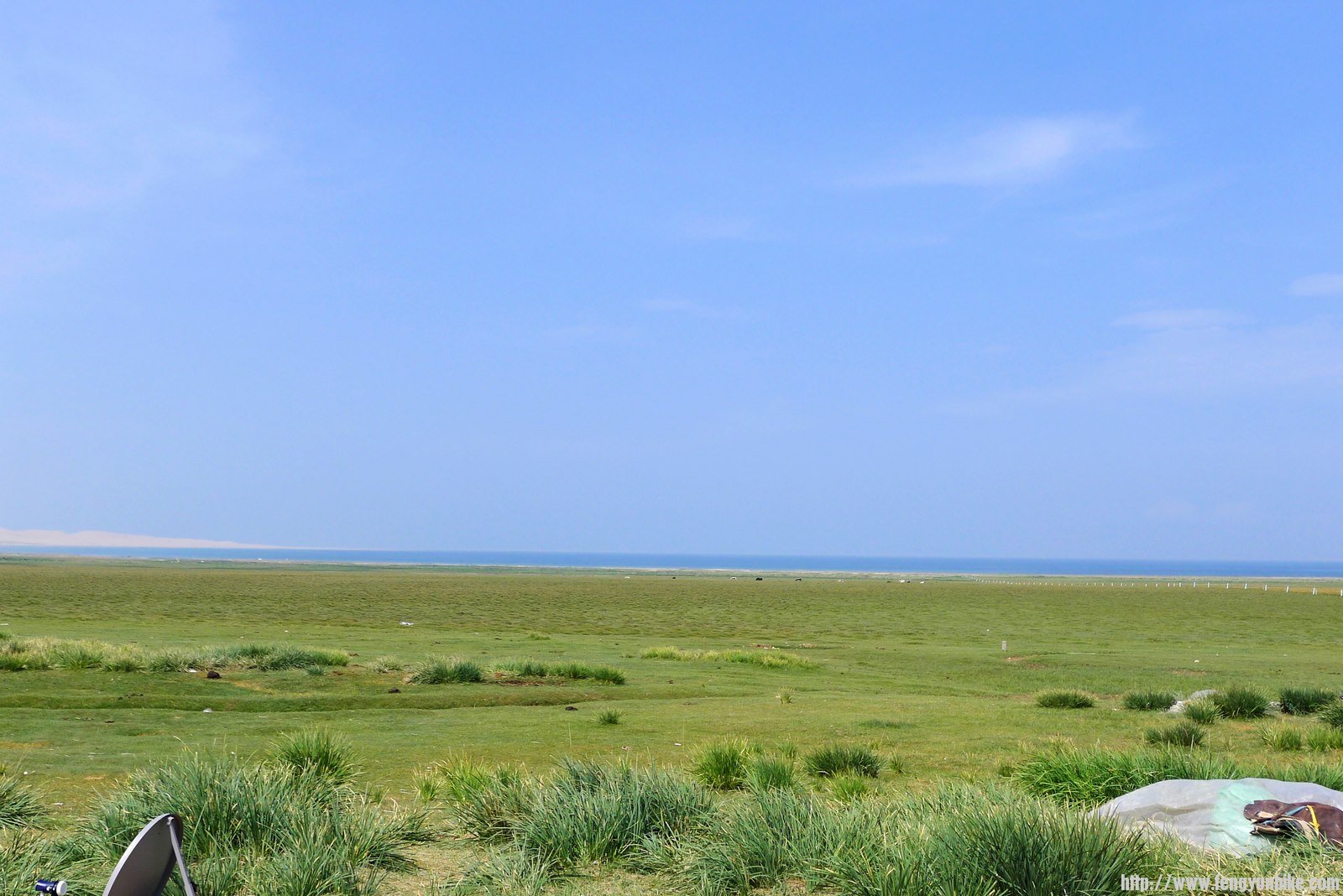 IMG_0539 (复制).JPG