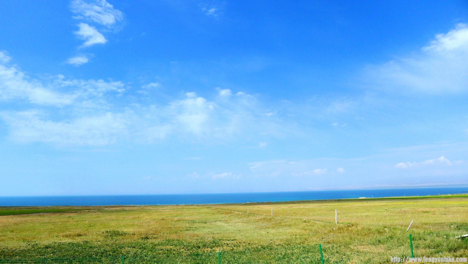 IMG_0535 (复制).JPG