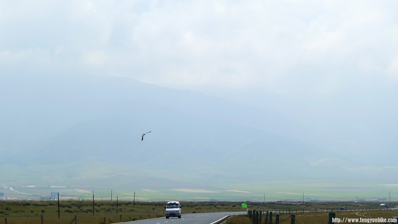 IMG_0536 (复制).JPG