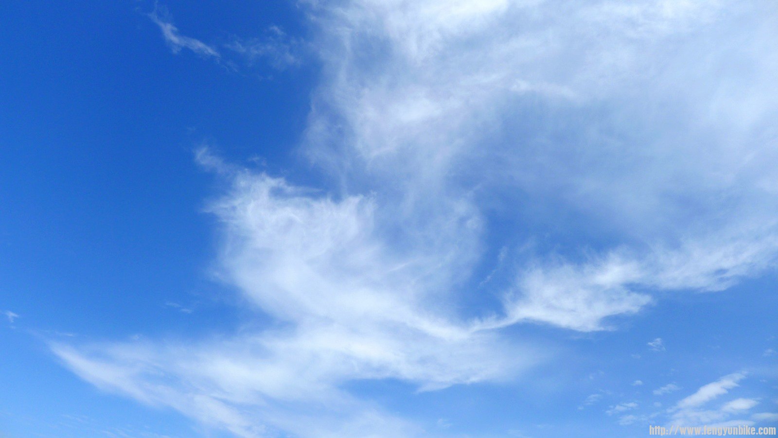 IMG_0524 (复制).JPG