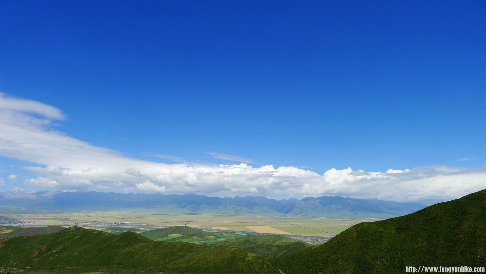 IMG_0510 (复制).JPG