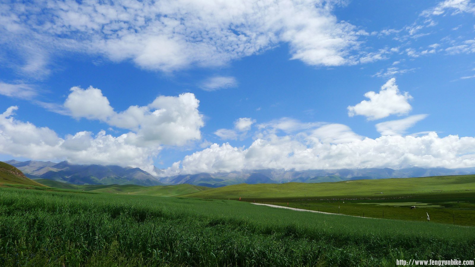 IMG_0511 (复制).JPG