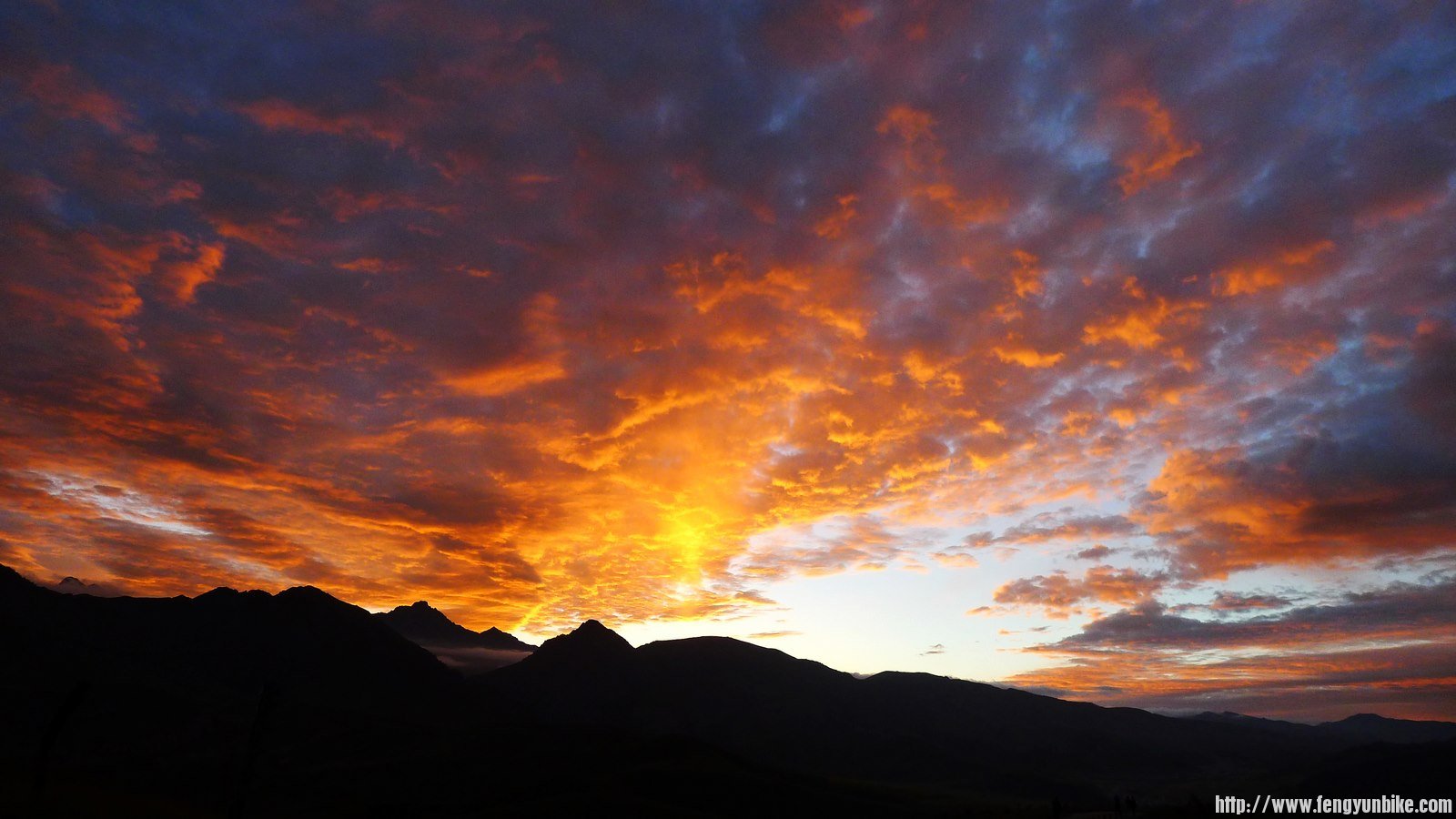 IMG_0518 (复制).JPG