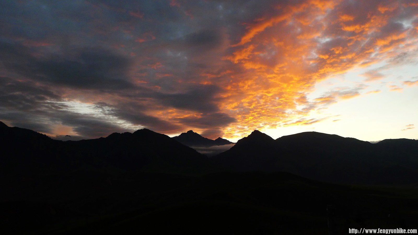 IMG_0519 (复制).JPG