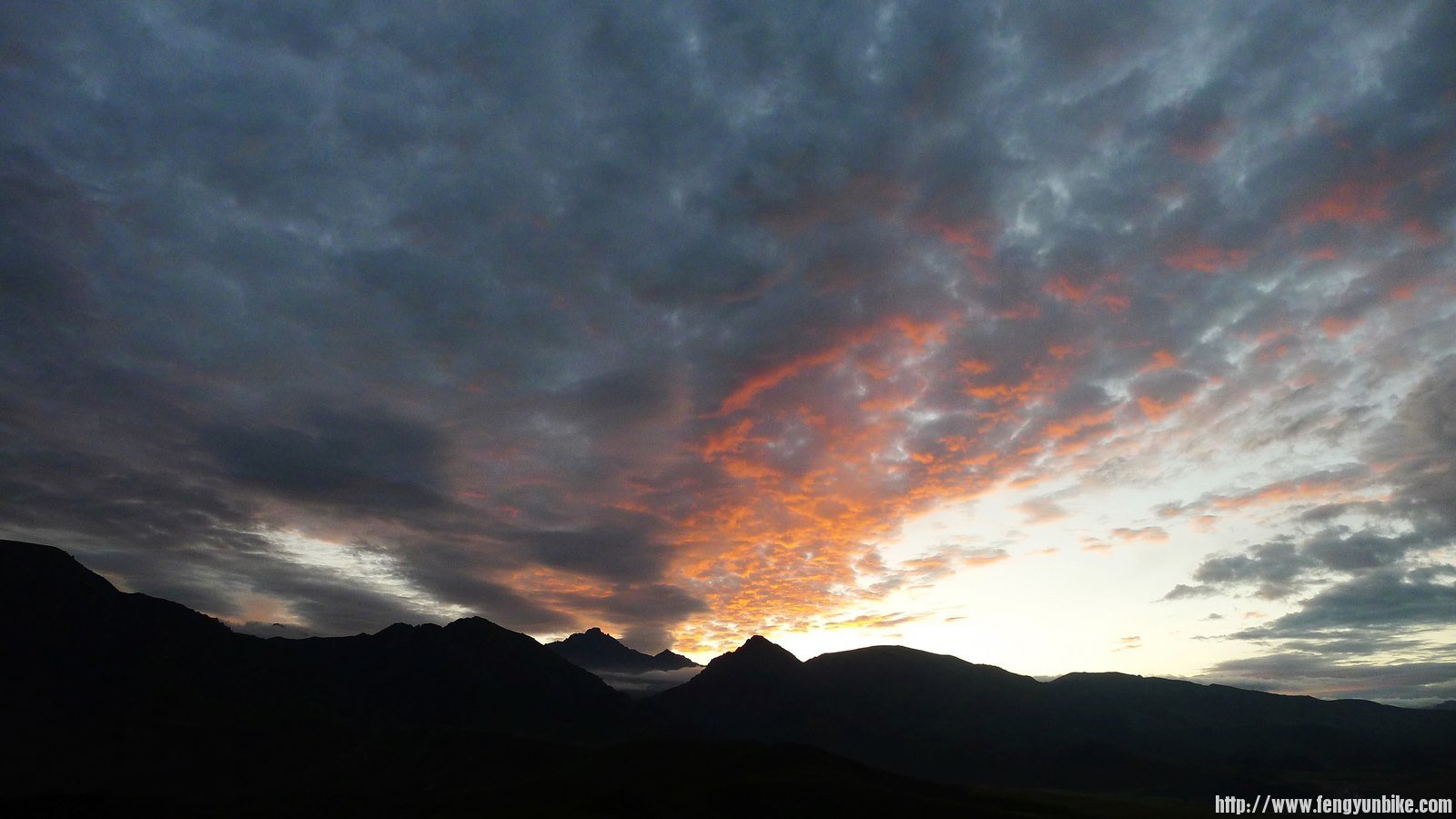 IMG_0520 (复制).JPG