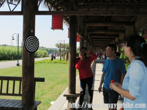 照片 1311_conew1.jpg