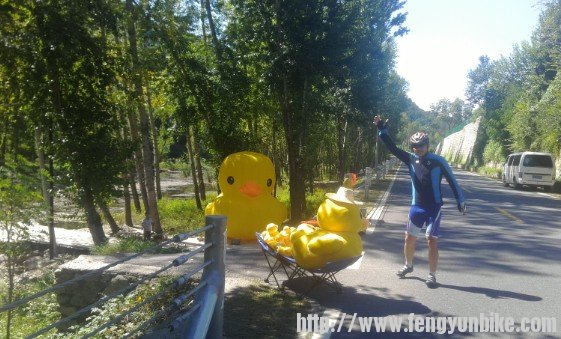 快来看啊它不在世博园