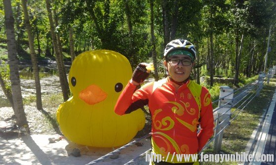 伟处长收养了一只