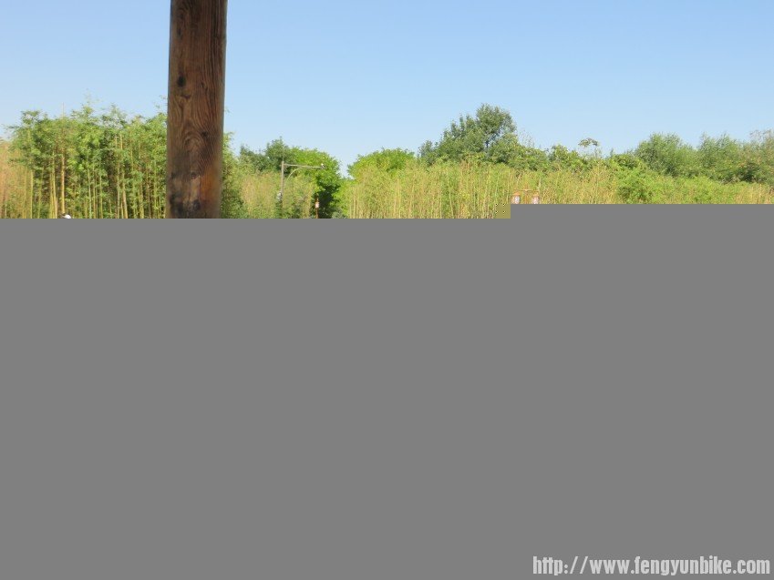 照片 1480_conew1.jpg