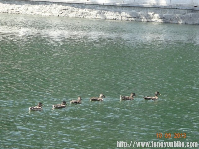 这是风云一惯做风一字队行