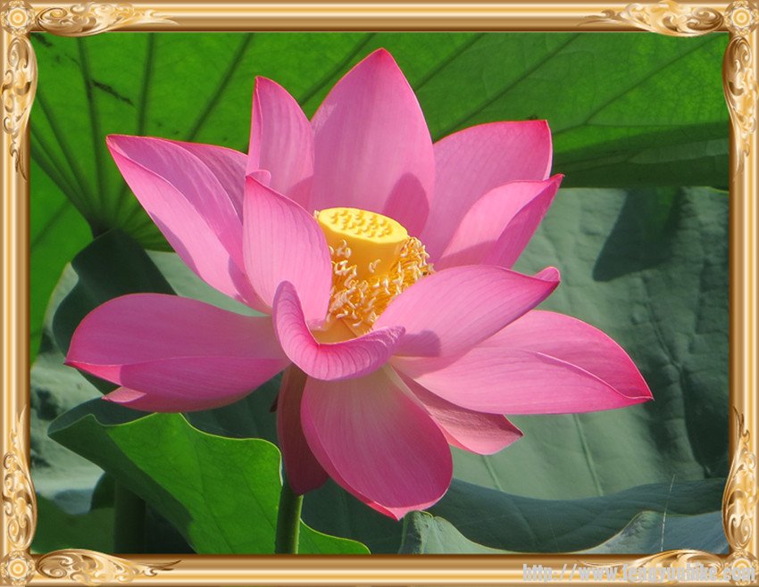 照片 1634_副本.jpg