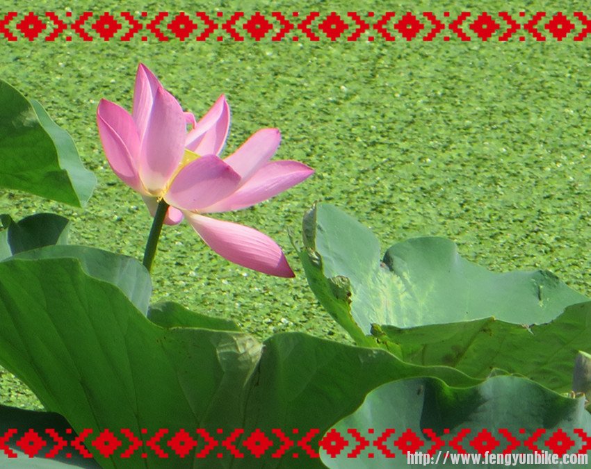 照片 1753_副本.jpg