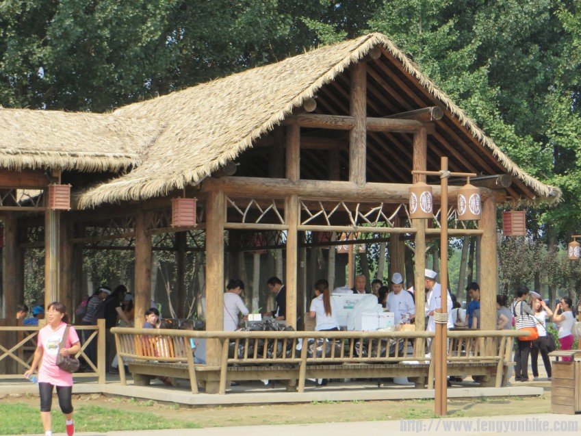 照片 1053_conew1.jpg