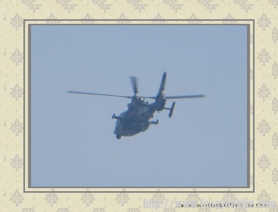 照片 1733_conew2.jpg