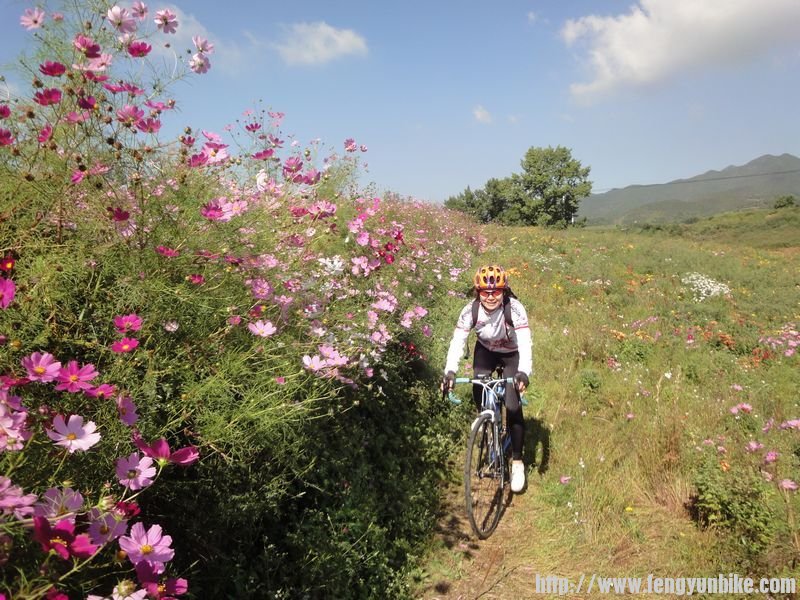 骑在乡间花丛中