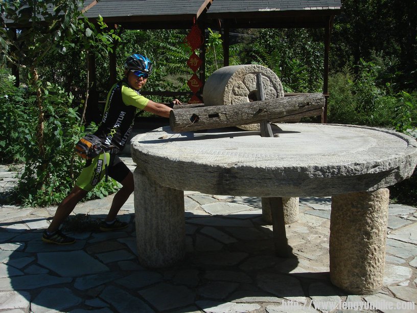 下次带点老玉米豆来