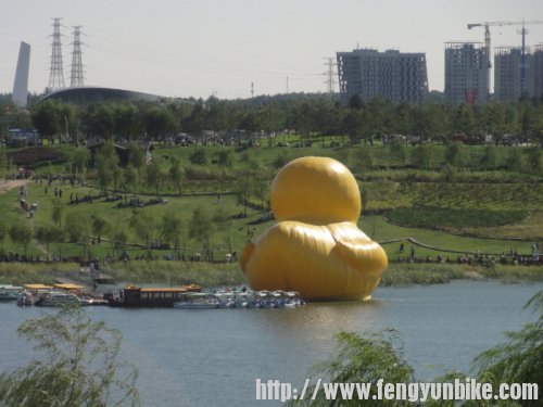 这就是那个被追捧的大黄鸭？