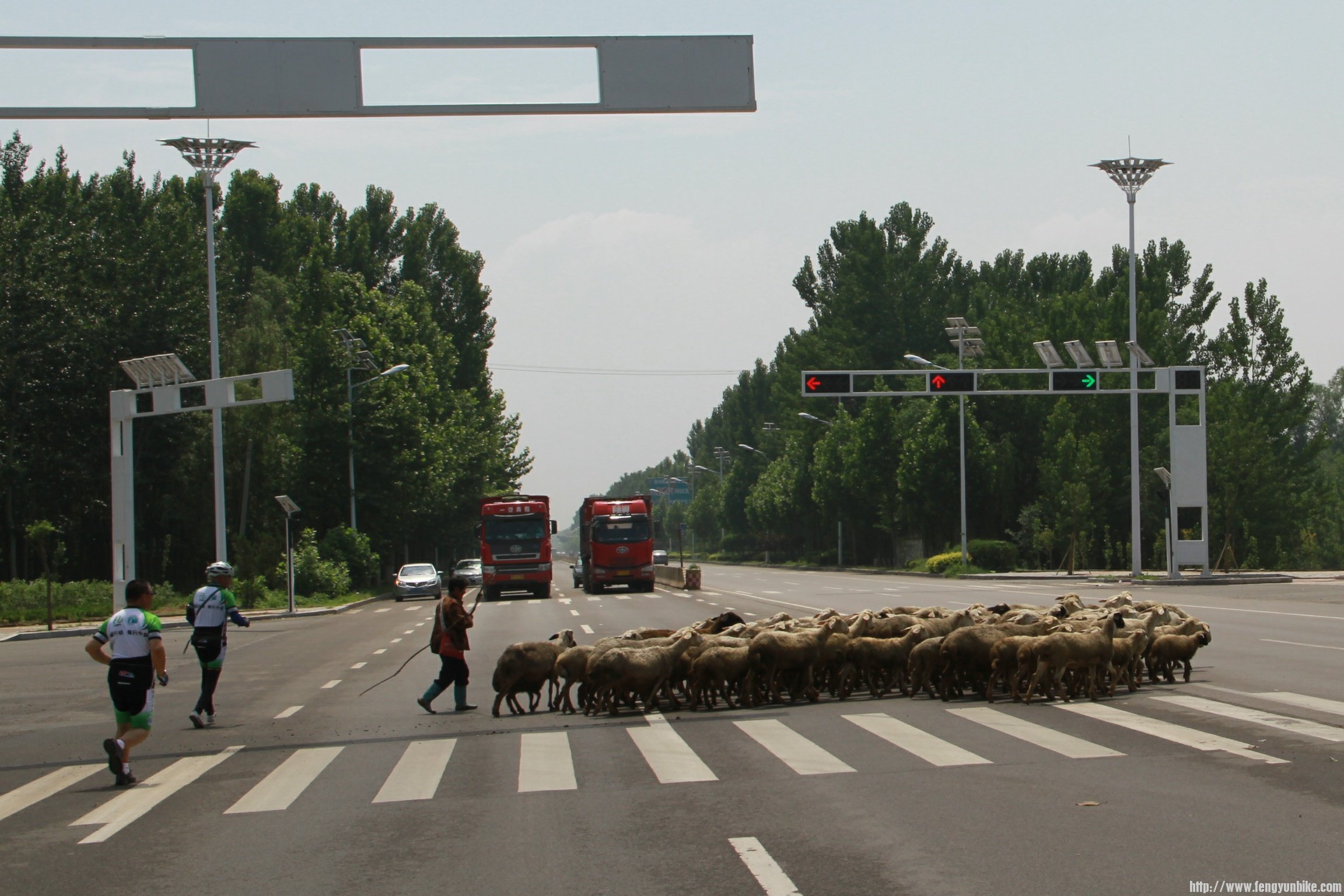 IMG_5945 (2)_2345看图王.JPG