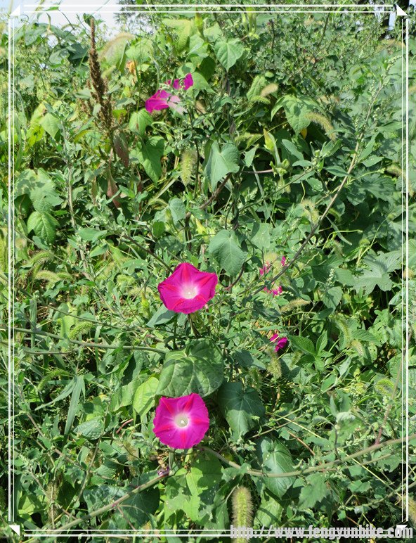 照片 2072_副本.jpg