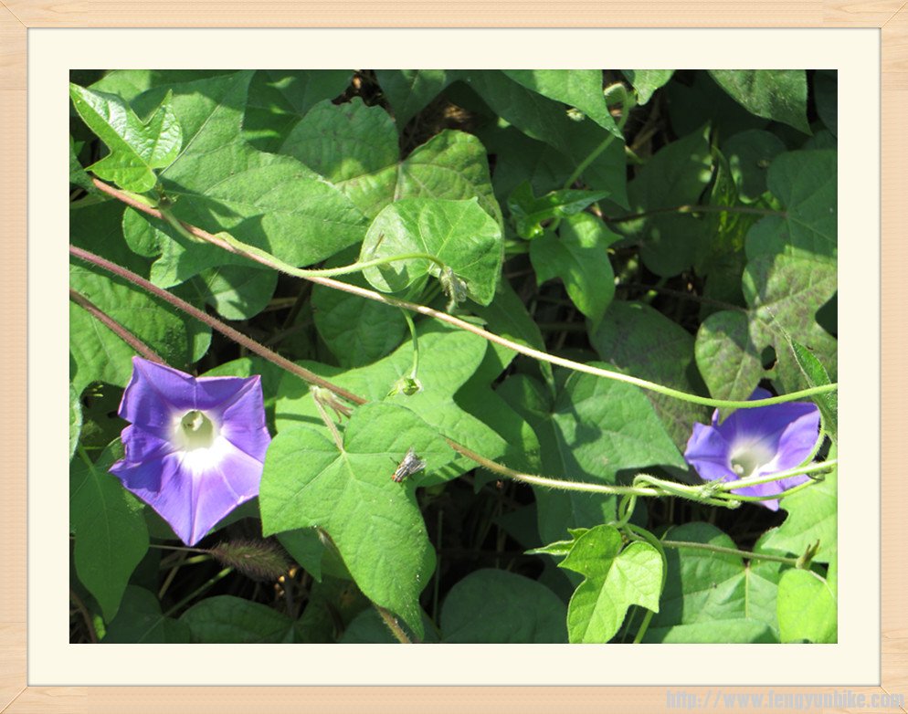 照片 2068_副本.jpg