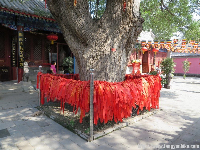 照片 1792_conew1.jpg