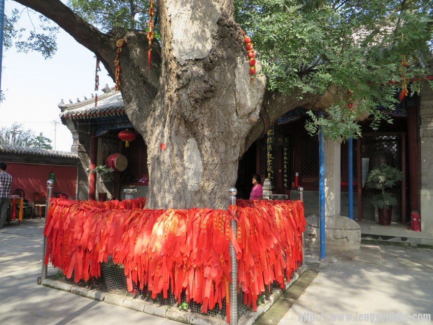 照片 1793_conew1.jpg