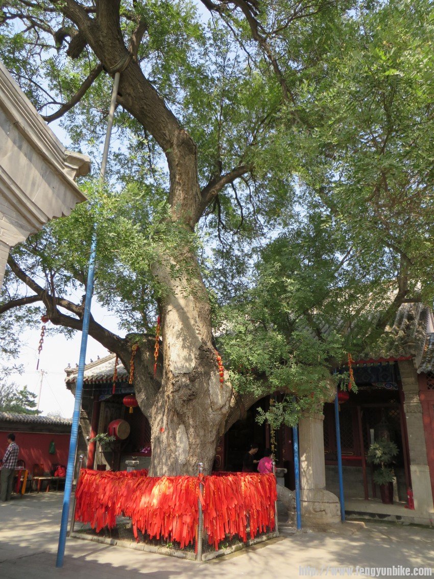 照片 1795_conew1.jpg