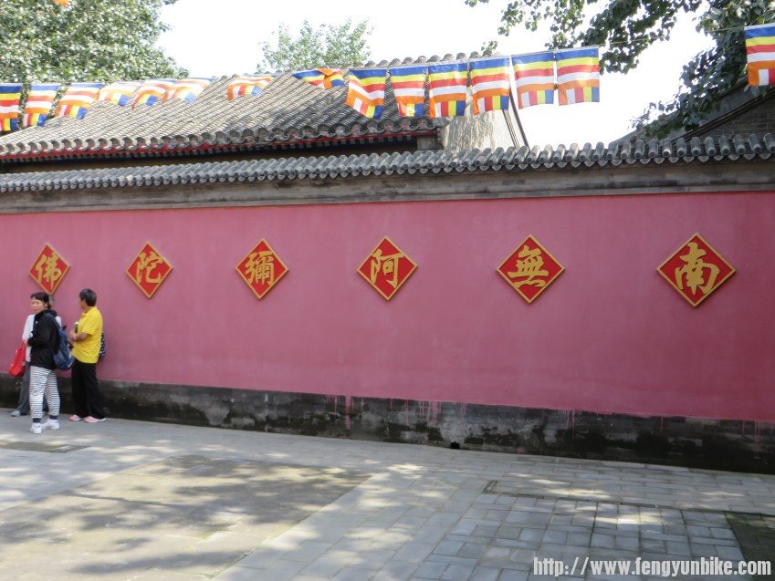 照片 1799_conew1.jpg