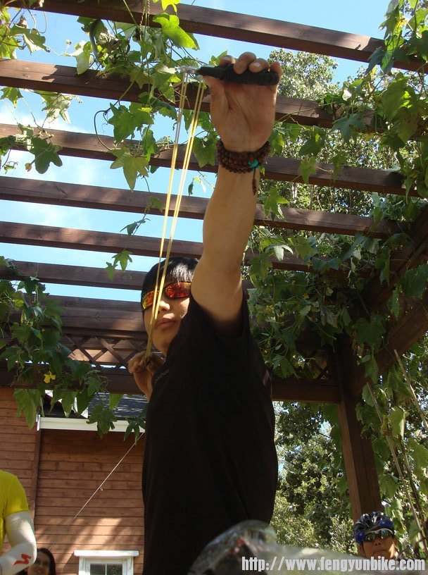 这气势不同凡响吧