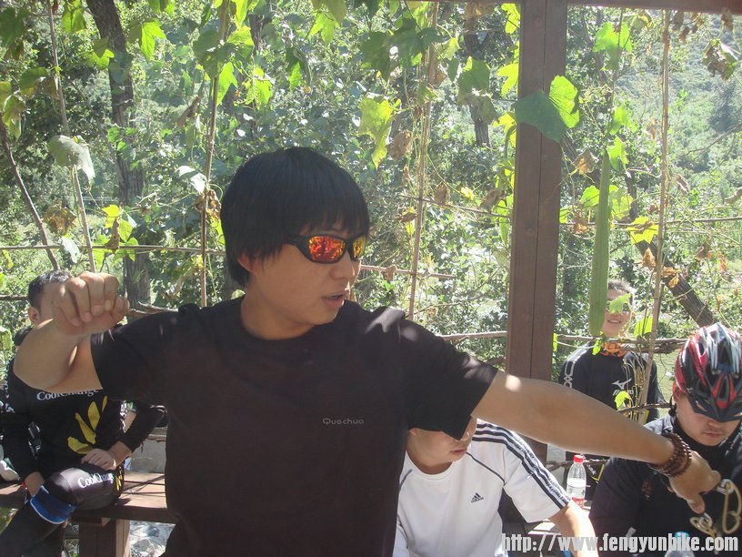 射发---中标连续4次呀