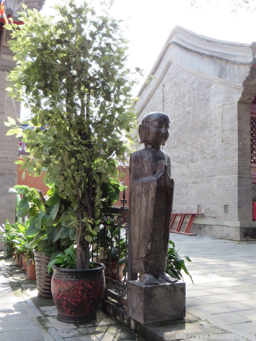 照片 1917_conew1.jpg