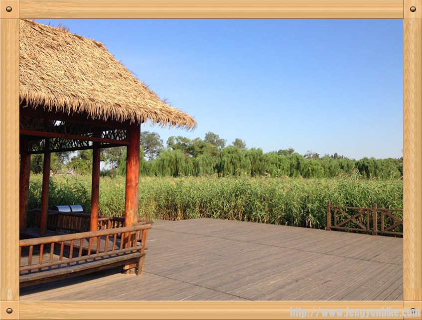 芦苇、草屋