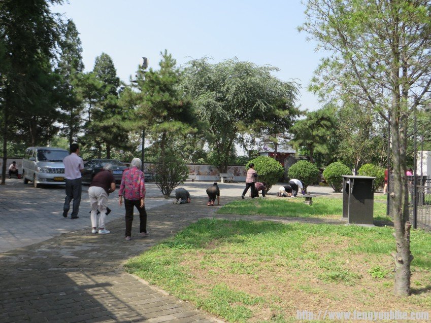 照片 1824_conew1.jpg